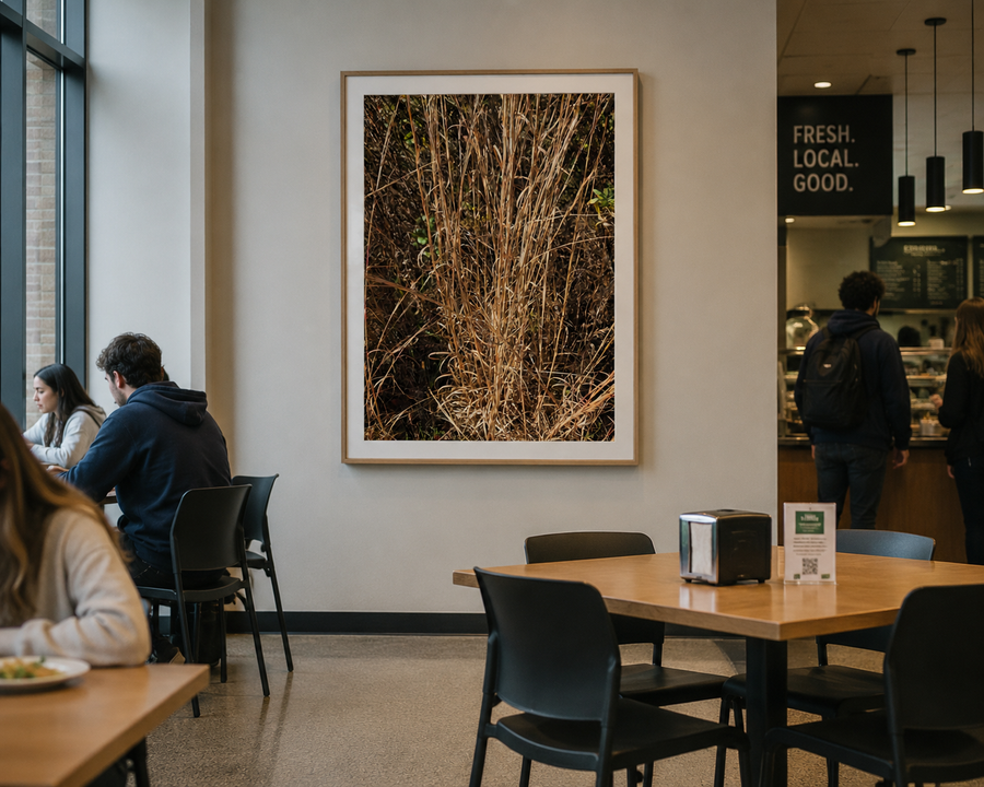 "Golden Stillness" Framed Print